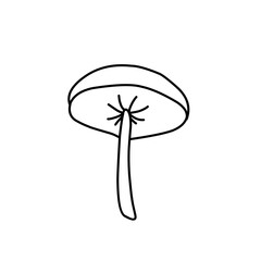 Mushroom hand drawn vector illustration