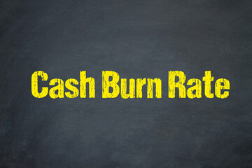 Cash Burn Rate	