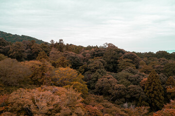 Japanese Lifestyle Kyotto City Asian Moment