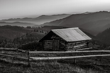 Obraz premium Landscapes - Forest - Europe, Romania, Suceava region