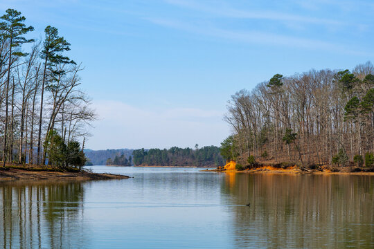 An inlet of the Chickamauga Lake in Harrison Bay State Park in Chattanooga, Tennessee features red clay shorelines with forests of bare winter trees and pines reflected in the calm waters. Horizontal