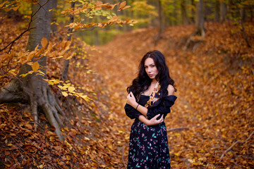 portrait of a beautiful woman in autumn in the forest