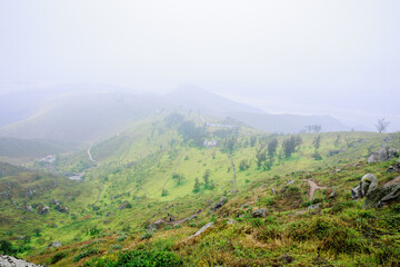 Lomas de Lachay, a National Reserve near Lima, ideal for exploring trails, observing wildlife and enjoying nature and outdoor walks. © Creative Pixels