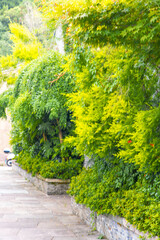 Obraz premium Taizhou City, Zhejiang Province - Classical garden scenery of Jiangnan ancient town