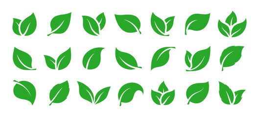 Green leaves icons set isolated on white background vector illustration. Vegan, tree, plant, fresh, energy and healthy nutrition concept.