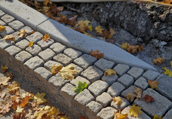 the edge of the road is formed by a stone border, a pavement made of paving stones laid in a...