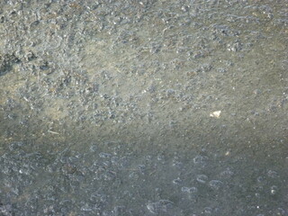 Organic texture wall beautiful organic overlay background