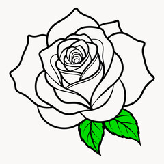 Vector illustration of a black and white Rose outline, a beautiful rose with lush green leaves for a tattoo. Realistic high-quality classic rose outline and icon.