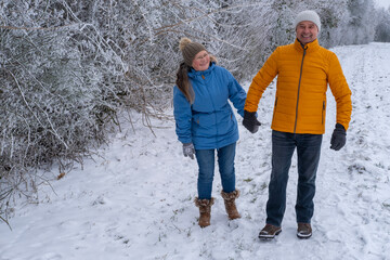 Winter wonderland scene with joyful couple enjoying leisurely stroll through picturesque park, surrounded serene snow-covered landscapes, Winter Romance, Nature Walks