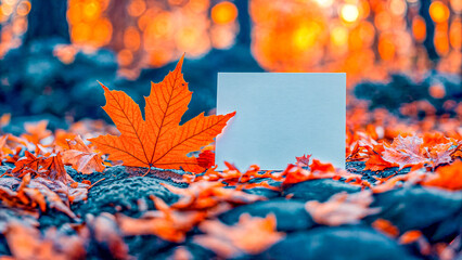 Empty White Objects Mockups with Fall - Autumn Environment - Logo and Graphics Placement