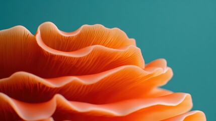Coral Mushroom Closeup: A vibrant coral mushroom, its intricate layers of delicate gills illuminated by a soft, natural light, creates a captivating macro photograph.