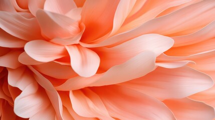 Obraz premium Peach Blossom Close-Up: Delicate peach petals create a mesmerizing texture and soft color palette. Perfect for backgrounds, branding, or design projects that need a touch of elegance and serenity. 