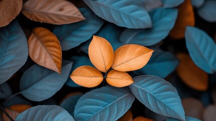 Autumnal Embrace: A cluster of vibrant orange leaves nestled amongst teal foliage.  A captivating image evoking feelings of warmth and tranquility in nature's embrace. 