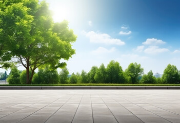 Tranquil City Park on a Sunny Day