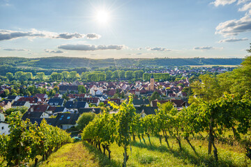 Blick auf Sommerhausen mit Weinberg im Vordergrund