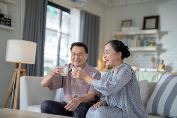 An elderly couple enjoys a peaceful moment at home, sharing smiles and drinks. The warm and cozy atmosphere emphasizes their deep connection, happiness, and the comfort of spending time together.