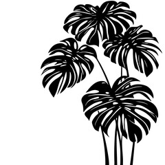 Stylish monochrome vector illustration featuring a cluster of tropical monstera leaves, showcasing their unique shapes and detailing in a contemporary design without background distractions