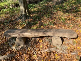 Rustic Wooden Bench in Forest Setting