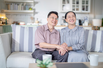 A cheerful elderly couple sitting together on a cozy sofa, holding hands and smiling warmly. They enjoy their peaceful moments together, embodying love, companionship, and happiness in their home.