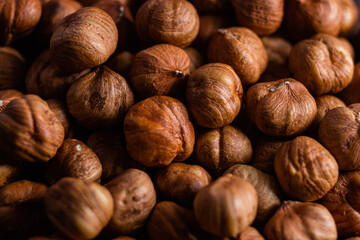 Raw, unshelled hazelnuts close-up. Hazelnut