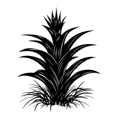 Stylized black silhouette of a pineapple plant with prominent leaves showcasing its unique structure and natural form in a minimalist design