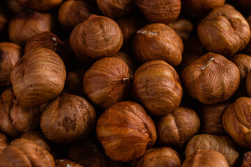 Raw, unshelled hazelnuts close-up. Hazelnut