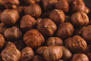 Raw, unshelled hazelnuts close-up. Hazelnut