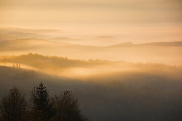 Fototapeta premium mountainous landscape with fog in the valley. beautiful view on a sunny morning. countryside scenery in fall season. glowing mist between rolling hills. tranquil silence