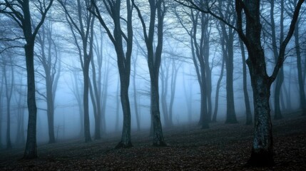 Mysterious fog envelops a chilling forest, where haunting trees stand tall in the mist. A foggy forest atmosphere creates an eerie scene, ideal for a captivating image.