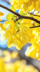 Fototapeta premium Close-up of Yellow Flowers on a Branch