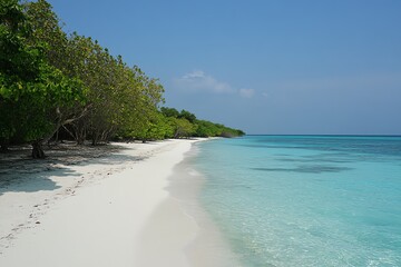 Océan turquoise avec du sable blanc..