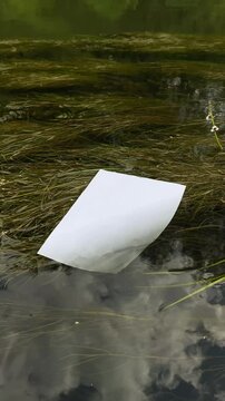 Video Mockup of white A4 sheet submerged under water on river algae background. Mockup of a poster in a river with algae. White blank in water