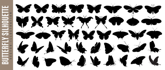 Obraz premium Beautiful flying butterfly, wild nature insect, firefly and summer or spring winged animal of different species silhouette or symbol art isolated on white background. Butterfly monarch or bug tattoo.