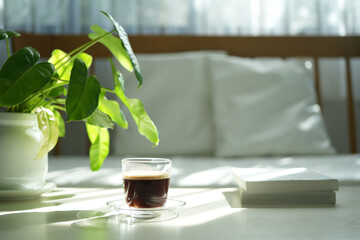 Coffee glass cup on white table philodendron plant interior view, minimal home © paladin1212
