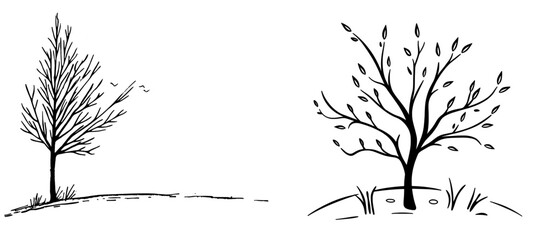 Obraz premium Isolated on white background, an old, dry tree with a black silhouette. Hand-drawn sketch.