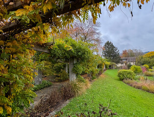 Beautiful autumn scenery in a botanical park in Saint Gallen in Switzerland