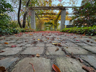Beautiful autumn scenery in a botanical park in Saint Gallen in Switzerland