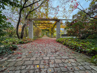 Fototapeta premium Beautiful autumn scenery in a botanical park in Saint Gallen in Switzerland