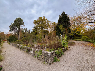 Fototapeta premium Beautiful autumn scenery in a botanical park in Saint Gallen in Switzerland