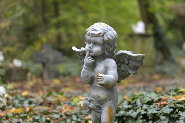 Fototapeta premium grabengel