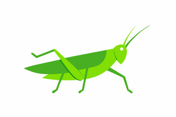 Grasshopper cartoon vector flat illustration on white background.