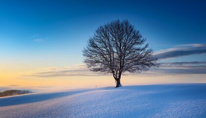 tree in the snow