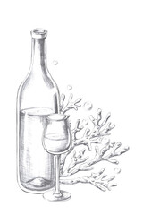 Vertical composition with wine bottle, glass and corals. Isolated pencil graphic illustration for postcards, textiles, restaurant decoration, invitations to a sea party,