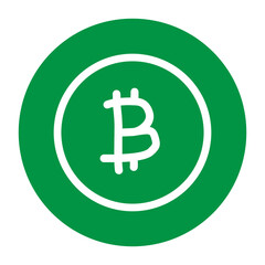 Electronic Payment Systems