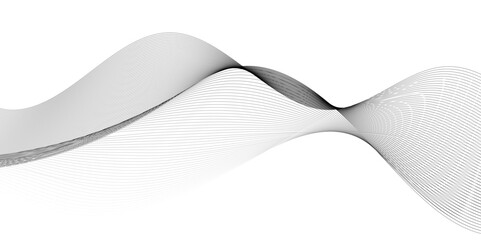 Abstract black lines wave curve motion on white, Abstract black lines wave curve motion on white