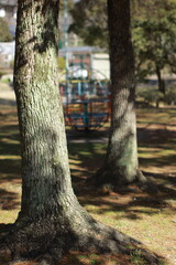 木陰の公園の遊具