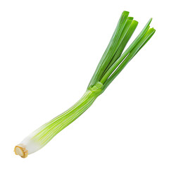 Leek with Transparent Background