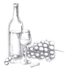 Fototapeta premium Wine bottle with glass and bunch of grapes. Isolated pencil illustration in realistic style for design of alcoholic products, juices, posters, cookbooks, printing on fabric, menu design