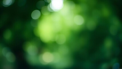 Soft green background with a hushed tone, perfect for adding a peaceful and calming element to any design, abstract, tranquil