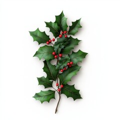 A sprig of holly featuring vibrant green leaves and red berries, often associated with winter holidays and festive decor.